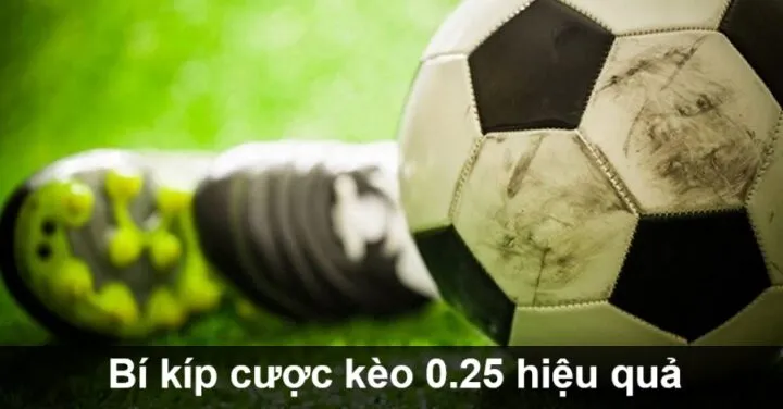 Mách nước bí kíp cá độ đồng banh nửa trái lãi khủng